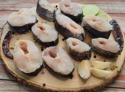 Snake Head Murrel / Korameenu