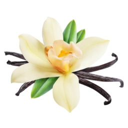 Yogur Líquido sabor Vainilla