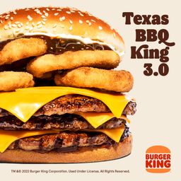 Texas BBQ King 3.0