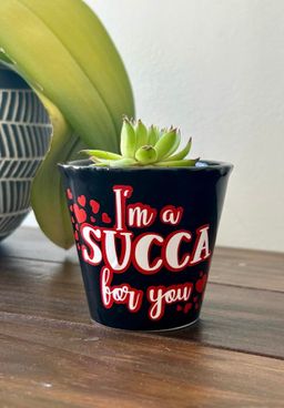 Valentine’s Succulent
