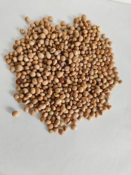 PIGEON PEAS-brown (MBAAZI) from Meru