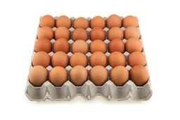 EGGS in bulk
