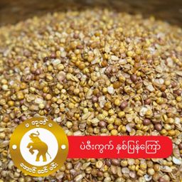 မတုတ်မ_အစုံကြော်