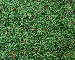 ရွက်နုဝေ_လက်ဖက် အ​ကြော်