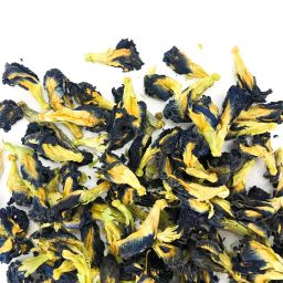 BUTTERFLY PEA TREE BLUE FLOWER TEA