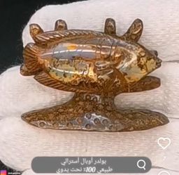 أوبال أسترالي شكل سمكة 