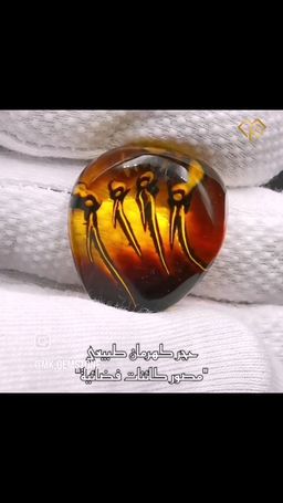 كهرمان مكسيكي مصور مخلوقات فضاء