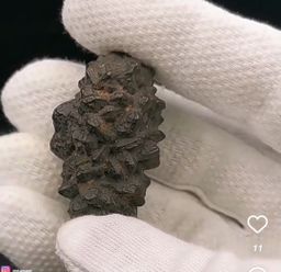 نيزك الصحراء البيضاء