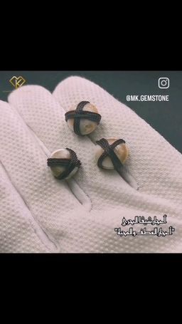 زوج أحجار العطف البحرية الأصلية 