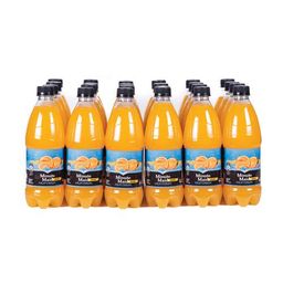 Minute Maid Refreshing Orange Juice 24 Units / 600 ml