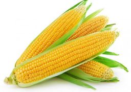 SWEET CORN 1KG
