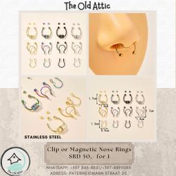 Clip or magnetic nose rings 
