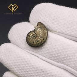 حجر الأمونيت الذهبي 