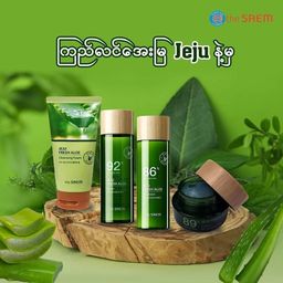 The Saem_Jeju Fresh Aloe Series