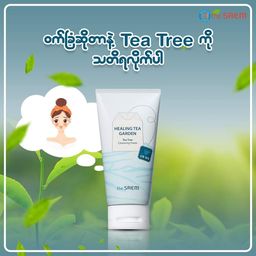 The Saem_Healing Tea Cleansing Foam