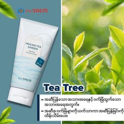 The Saem_Healing Tea Cleansing Foam