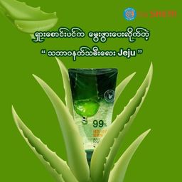 The Saem_Jeju Fresh Aloe Soothing Gel