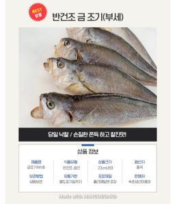 속초 금조기/1마리