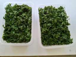 Kunde / Cowpeas leaves