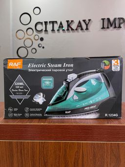 Electric Steam Iron