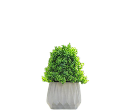 Pots & Artificial plant - Model 5