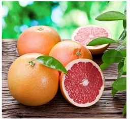 Grapefruit (2 pcs/pkt) Medium size