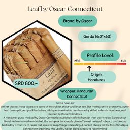 Leaf by Oscar Connecticut 