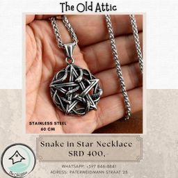 Snake in star necklace 