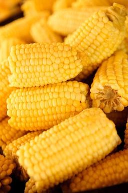 Corn