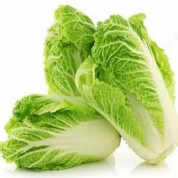 Lettuce 