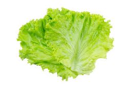 Lettuce 