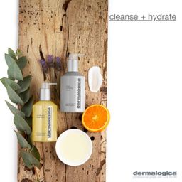 Dermalogica_Conditioning Body Wash