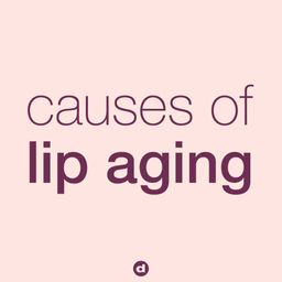 Dermalogica_Nightly Lip Treatment