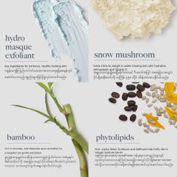 Dermalogica_Hydro Masque Exfoliant