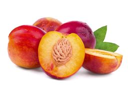Nectarine 6CT