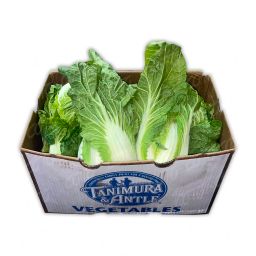 Cabbage Napa 30ct