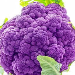 Cauliflower Purple 12ct