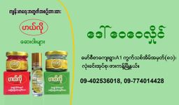 ဟယ်လို_တိုင်းရင်းဆေး