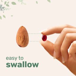 Antarctic Krill Oil Supplement 2 Pack, Rich in Omega 3