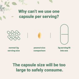 Creatine Monohydrate Capsules, 500 counts