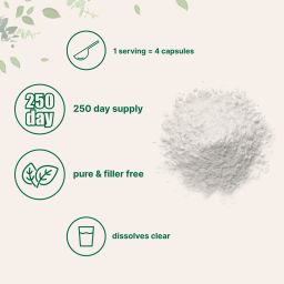 L Serine Powder, 500 Grams (250 Day Supply)