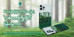 Potato Myanmar_သစ်တောကြိုးဝိုင်း