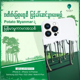 Potato Myanmar_သစ်တောကြိုးဝိုင်း