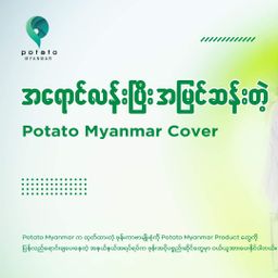 Potato Myanmar_Summer Case Collection