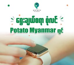 Potato Myanmar_iWatch Watchband