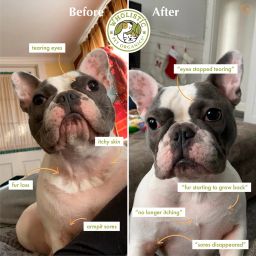 Immune Balance - Colostrum