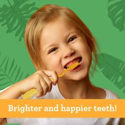 FUN ANIMALS KIDS' TOOTHBRUSH WITH SUCTION CUP (4-PACK)