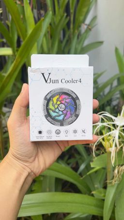 V.Jun_Cooler 4