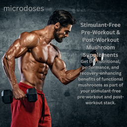 Cordyceps Capsules 60