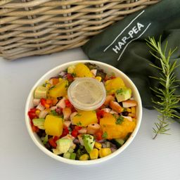 24/03 TUESDAY- SMOKED CHICKEN & MANGO SALAD 